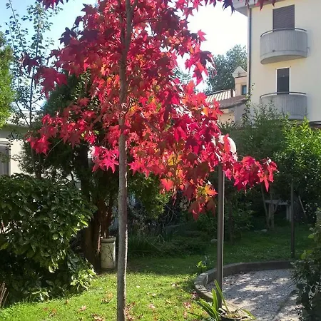 Apdf Appartamento Con Giardino San Salvo Exterior photo