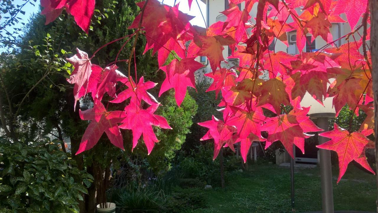 Apartment Apdf Con Giardino San Salvo